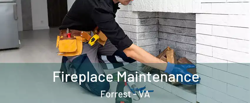 Fireplace Maintenance Forrest - VA