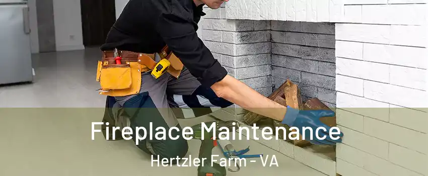 Fireplace Maintenance Hertzler Farm - VA