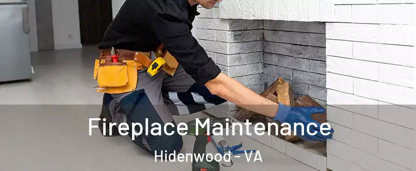 Fireplace Maintenance Hidenwood - VA