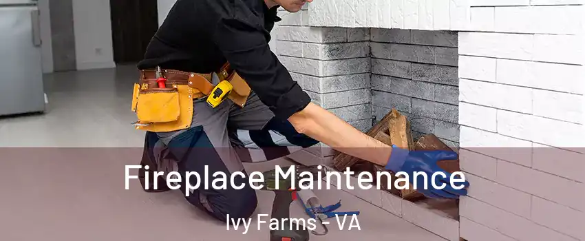 Fireplace Maintenance Ivy Farms - VA