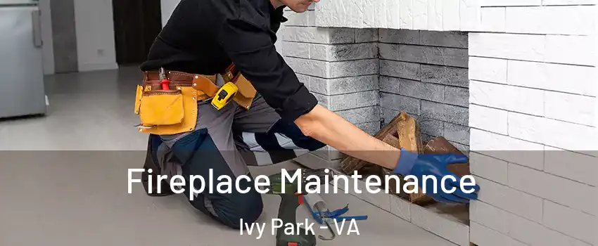Fireplace Maintenance Ivy Park - VA