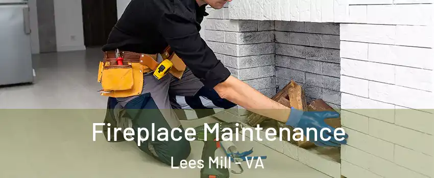 Fireplace Maintenance Lees Mill - VA