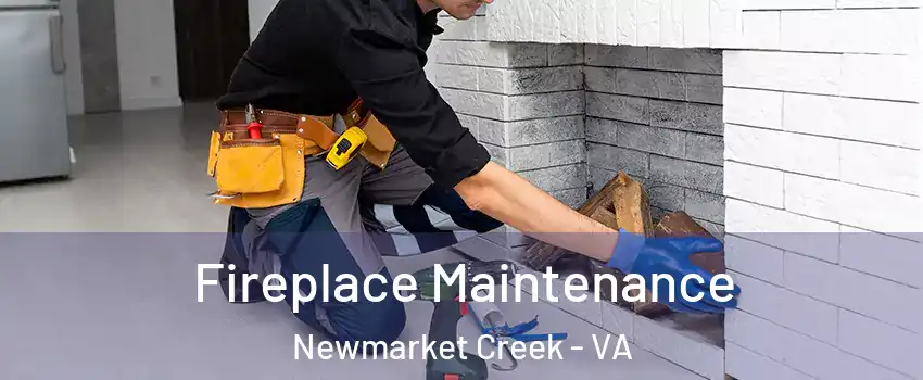 Fireplace Maintenance Newmarket Creek - VA