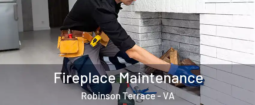 Fireplace Maintenance Robinson Terrace - VA
