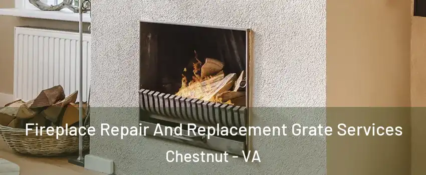 Fireplace Repair And Replacement Grate Services Chestnut - VA
