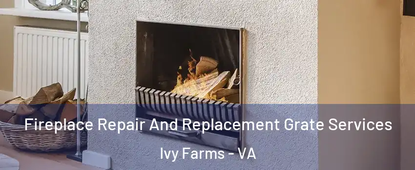 Fireplace Repair And Replacement Grate Services Ivy Farms - VA