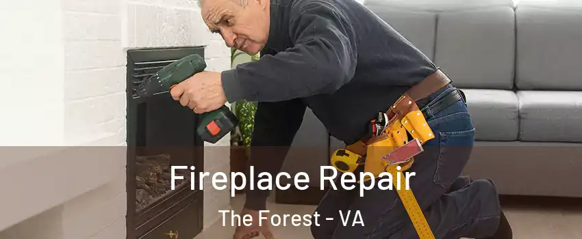 Fireplace Repair The Forest - VA