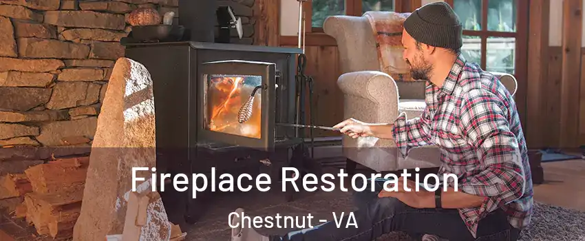 Fireplace Restoration Chestnut - VA
