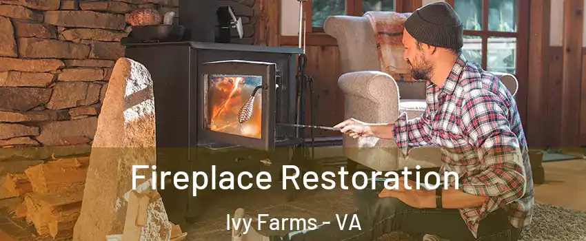 Fireplace Restoration Ivy Farms - VA