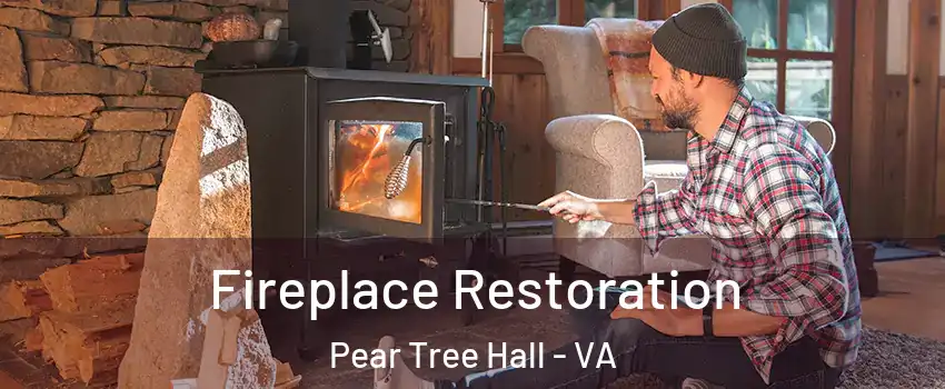Fireplace Restoration Pear Tree Hall - VA