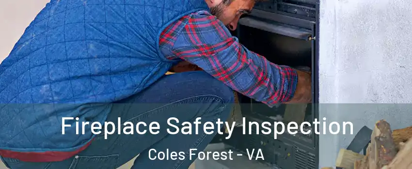 Fireplace Safety Inspection Coles Forest - VA