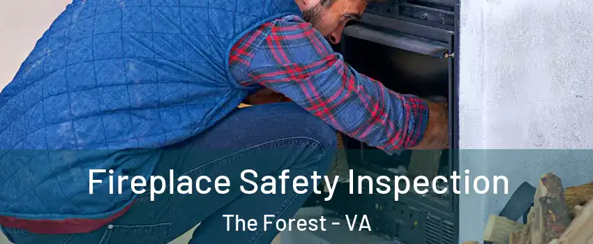 Fireplace Safety Inspection The Forest - VA