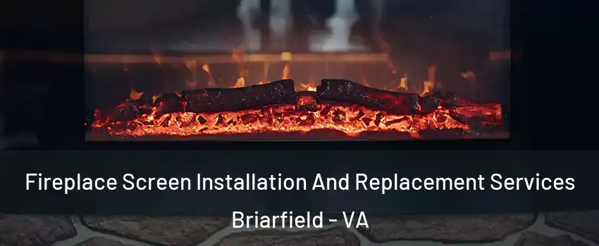 Fireplace Screen Installation And Replacement Services Briarfield - VA