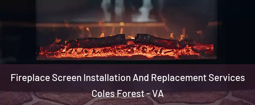Fireplace Screen Installation And Replacement Services Coles Forest - VA