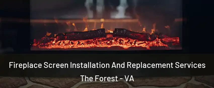 Fireplace Screen Installation And Replacement Services The Forest - VA