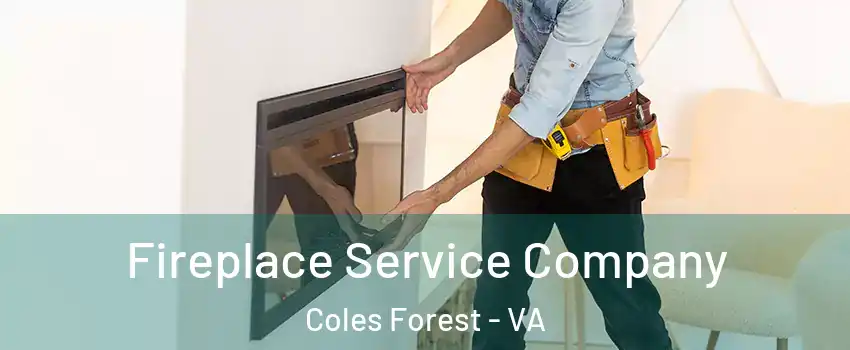 Fireplace Service Company Coles Forest - VA