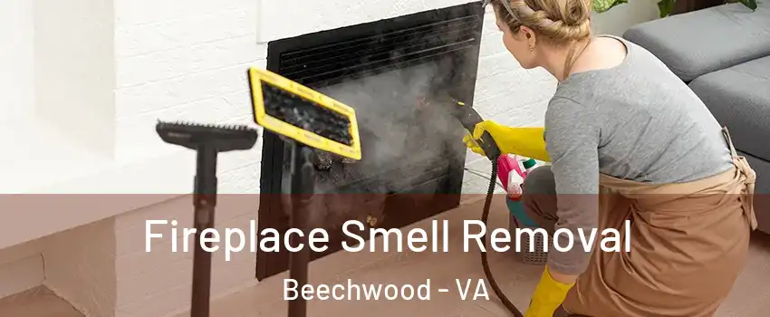 Fireplace Smell Removal Beechwood - VA