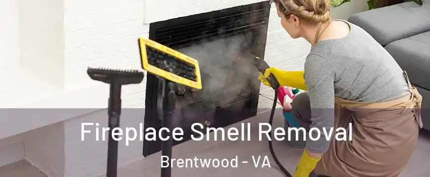 Fireplace Smell Removal Brentwood - VA