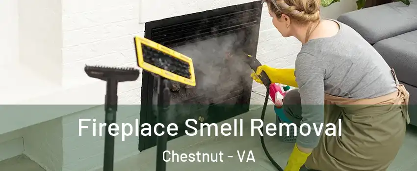 Fireplace Smell Removal Chestnut - VA