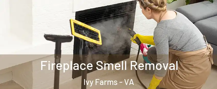 Fireplace Smell Removal Ivy Farms - VA