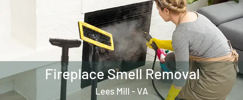 Fireplace Smell Removal Lees Mill - VA