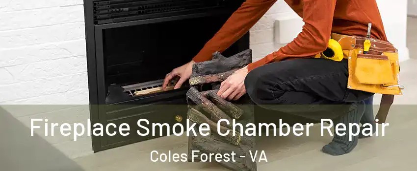 Fireplace Smoke Chamber Repair Coles Forest - VA
