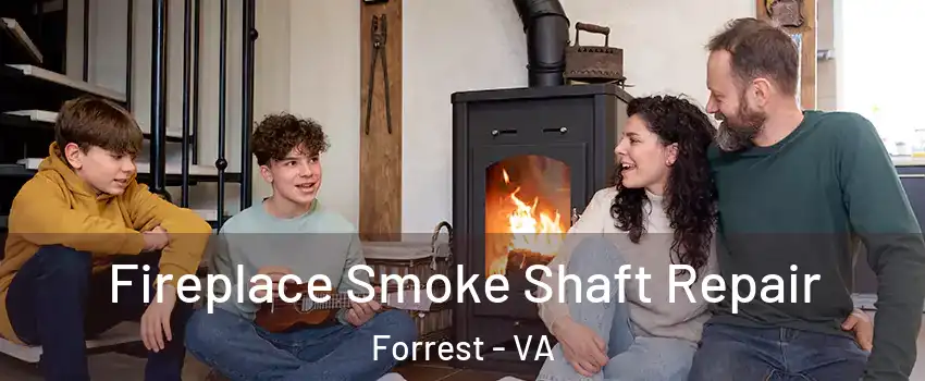 Fireplace Smoke Shaft Repair Forrest - VA