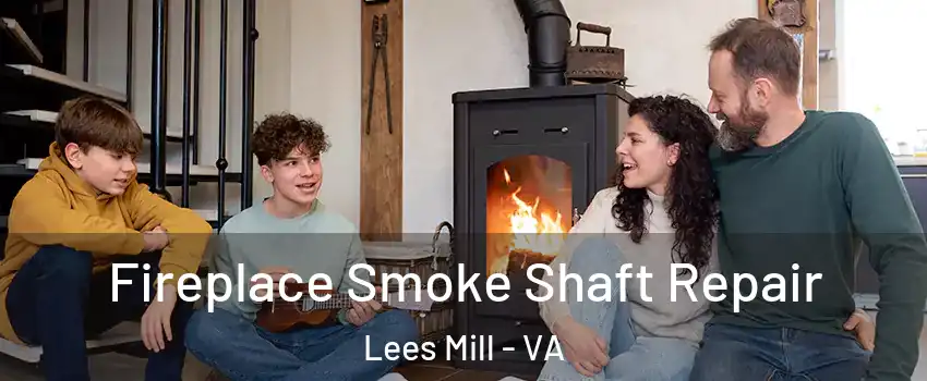 Fireplace Smoke Shaft Repair Lees Mill - VA