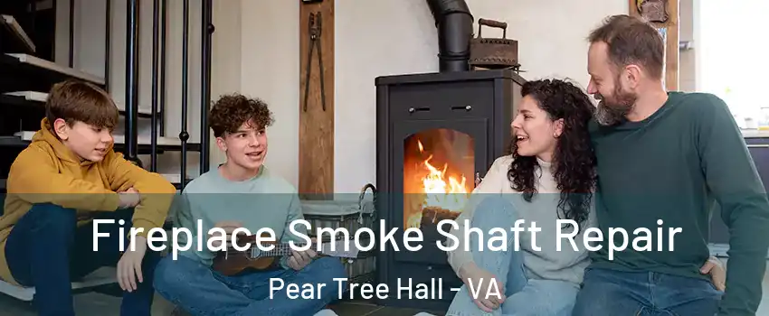 Fireplace Smoke Shaft Repair Pear Tree Hall - VA