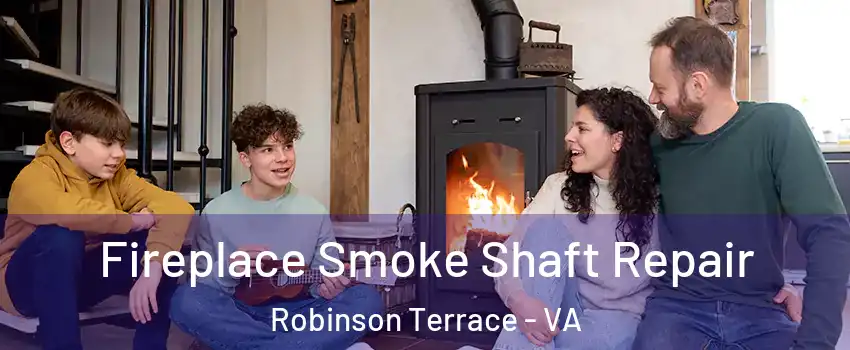 Fireplace Smoke Shaft Repair Robinson Terrace - VA