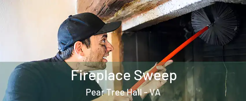 Fireplace Sweep Pear Tree Hall - VA