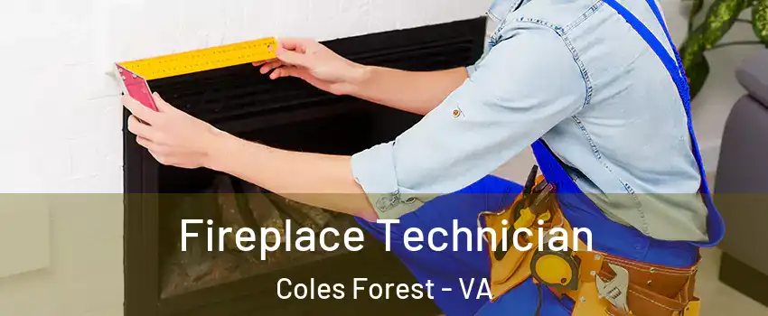 Fireplace Technician Coles Forest - VA