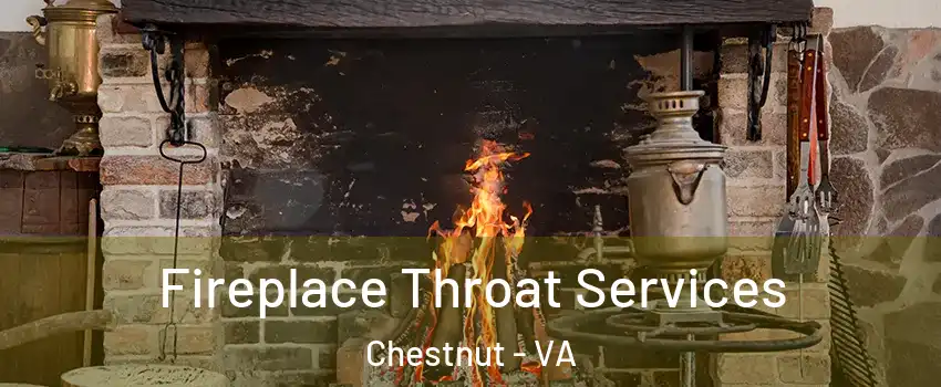 Fireplace Throat Services Chestnut - VA