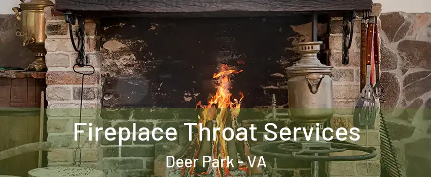 Fireplace Throat Services Deer Park - VA