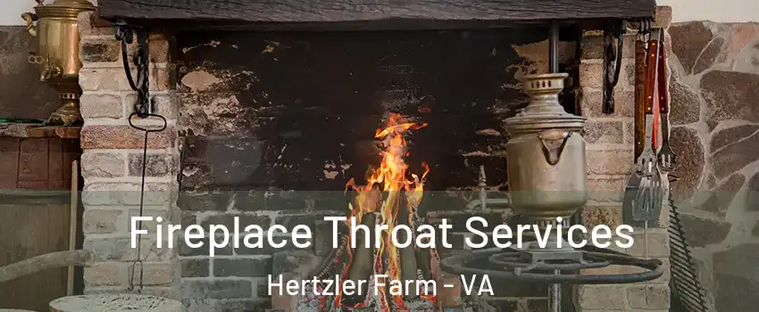 Fireplace Throat Services Hertzler Farm - VA