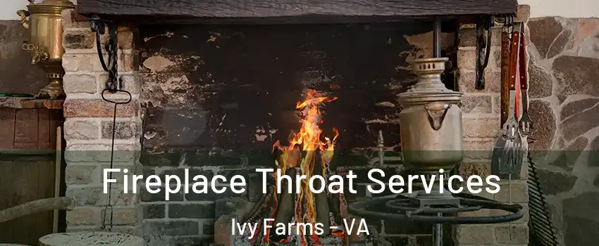 Fireplace Throat Services Ivy Farms - VA