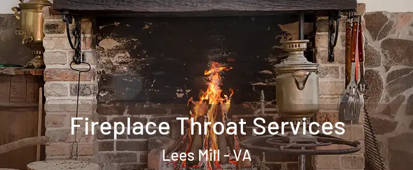 Fireplace Throat Services Lees Mill - VA