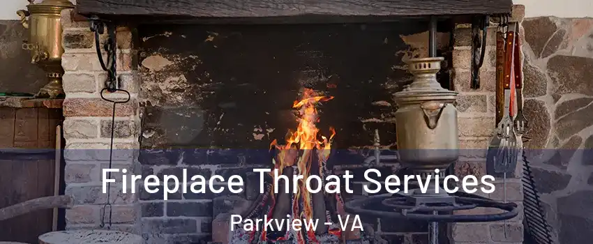 Fireplace Throat Services Parkview - VA