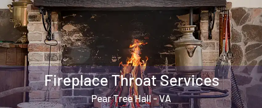 Fireplace Throat Services Pear Tree Hall - VA