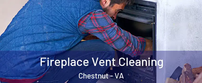 Fireplace Vent Cleaning Chestnut - VA