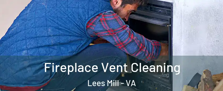 Fireplace Vent Cleaning Lees Mill - VA