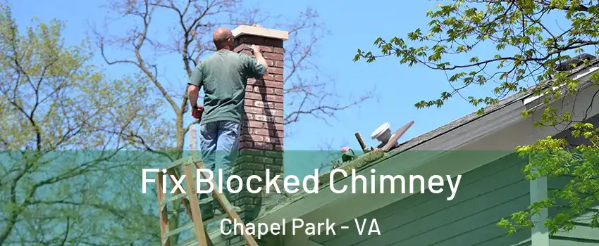 Fix Blocked Chimney Chapel Park - VA