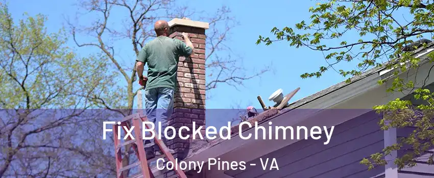 Fix Blocked Chimney Colony Pines - VA