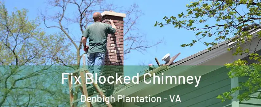 Fix Blocked Chimney Denbigh Plantation - VA