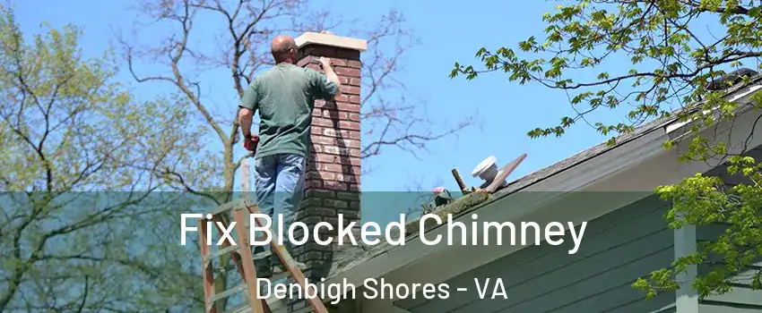 Fix Blocked Chimney Denbigh Shores - VA