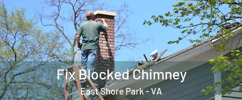 Fix Blocked Chimney East Shore Park - VA