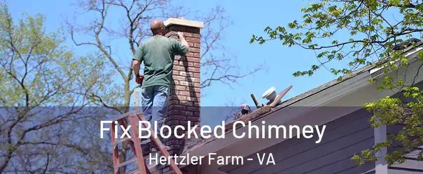 Fix Blocked Chimney Hertzler Farm - VA