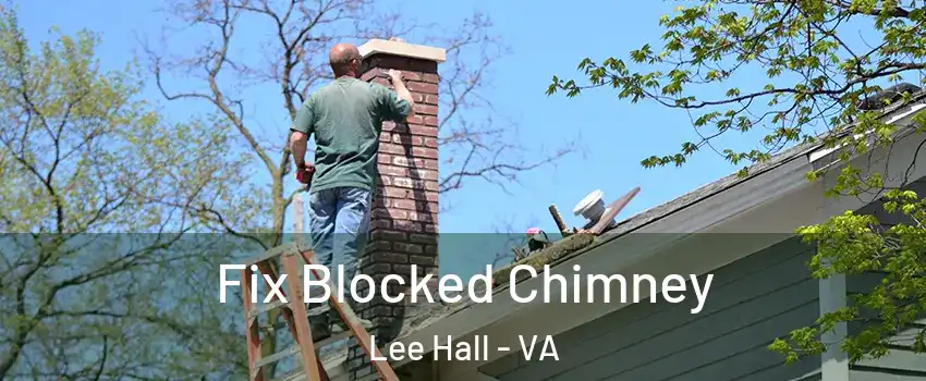 Fix Blocked Chimney Lee Hall - VA