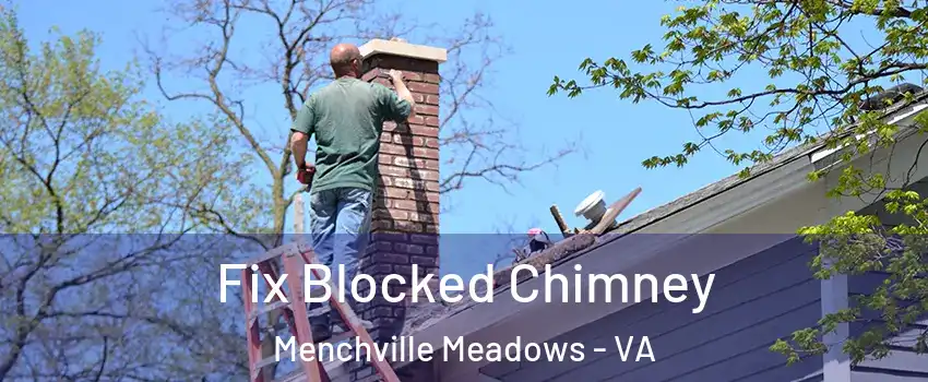 Fix Blocked Chimney Menchville Meadows - VA