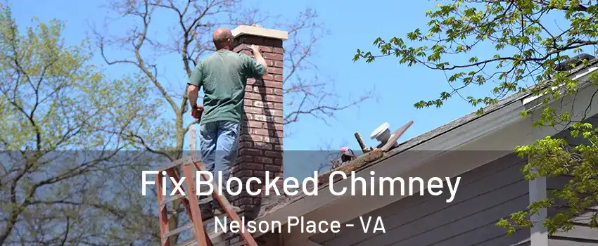 Fix Blocked Chimney Nelson Place - VA